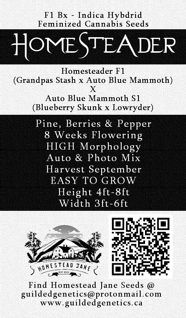 Homesteader F1Bx - Image 2