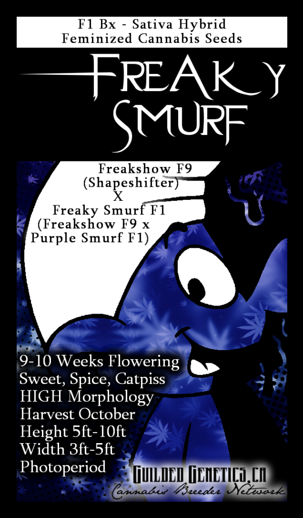Freaky Smurf F1Bx