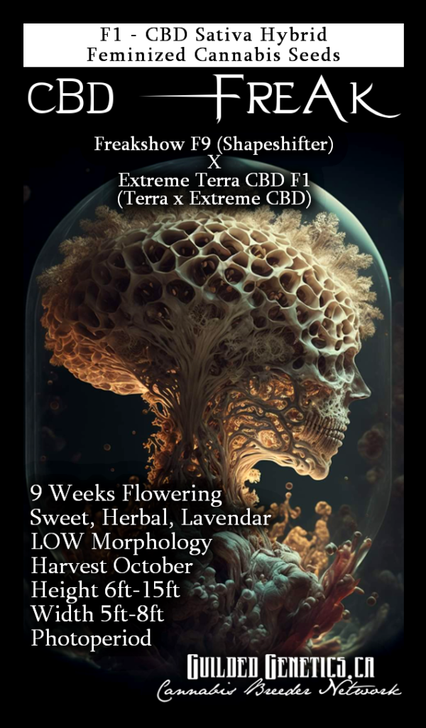 CBD Freak F1
