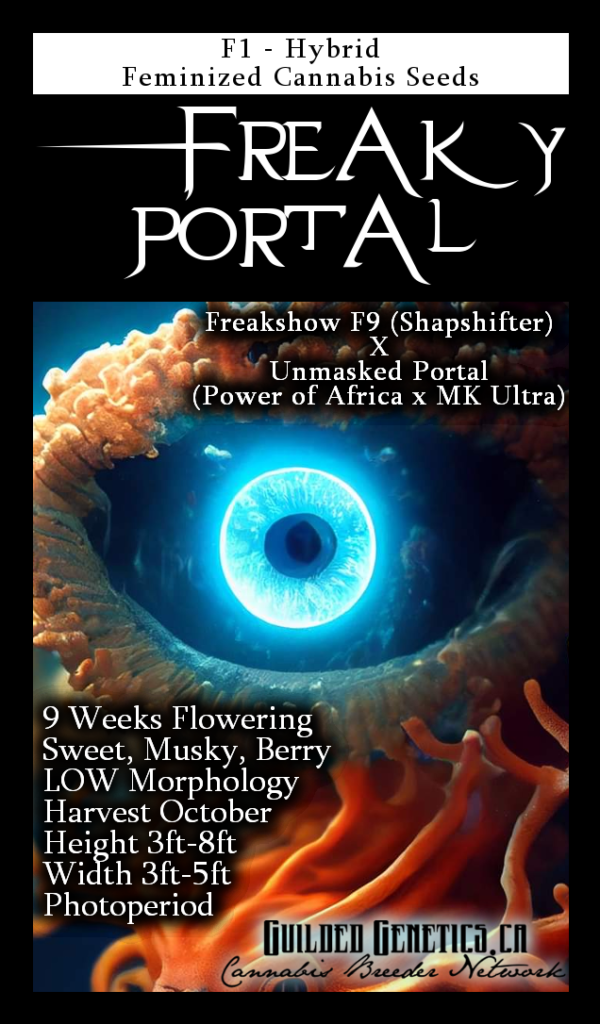Freaky Portal F1
