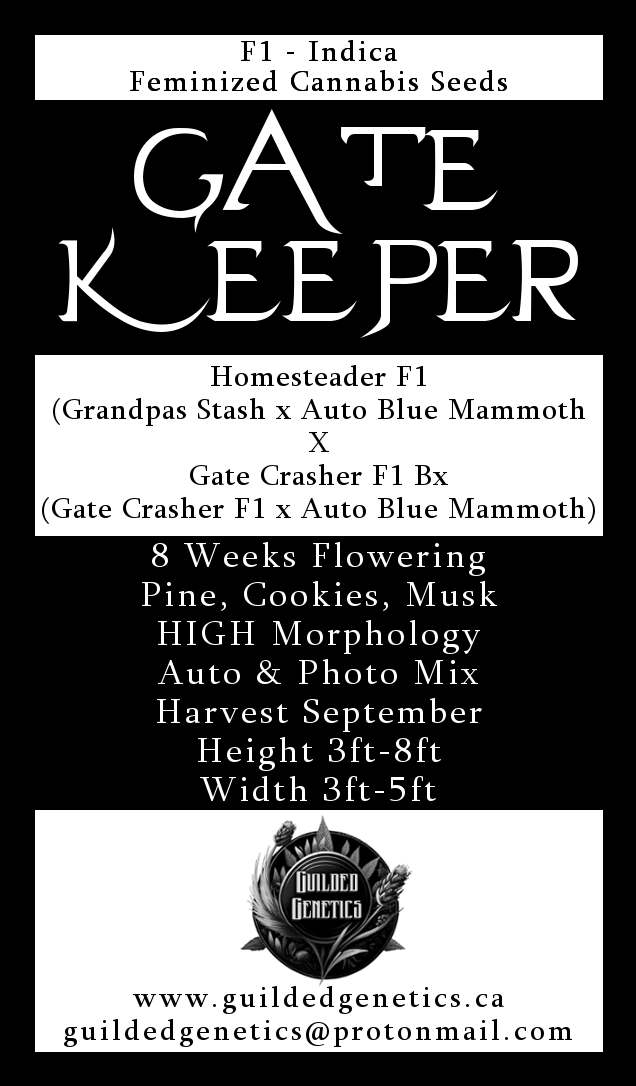 Gate Keeper F1