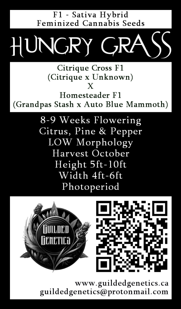 Hungry Grass F1