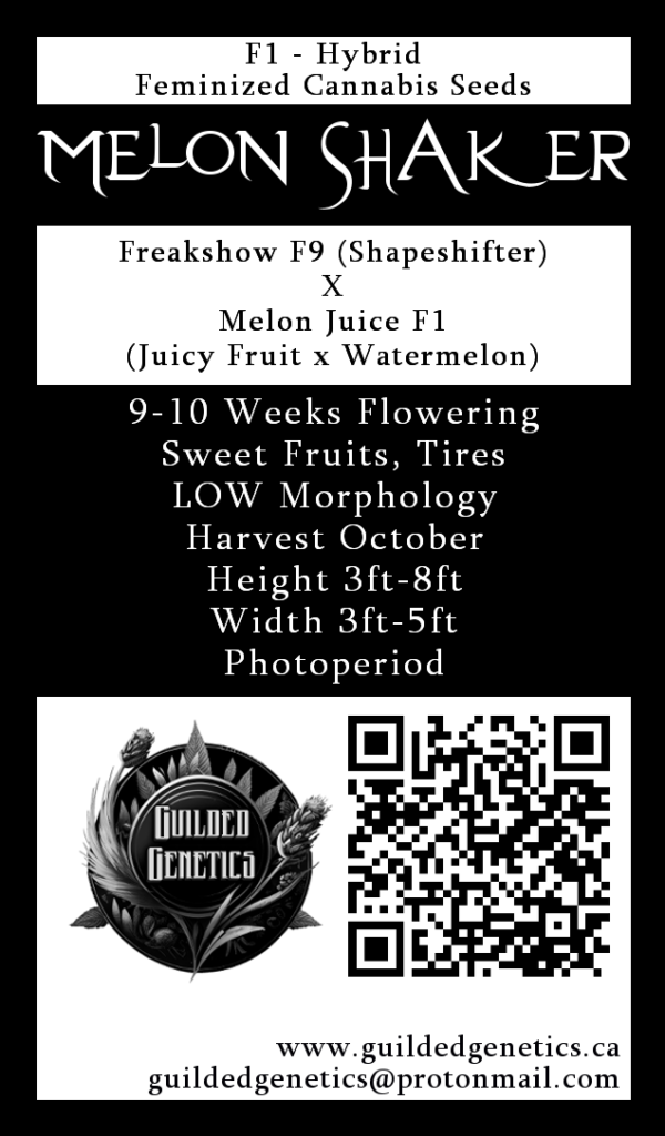 Melon Shaker F1
