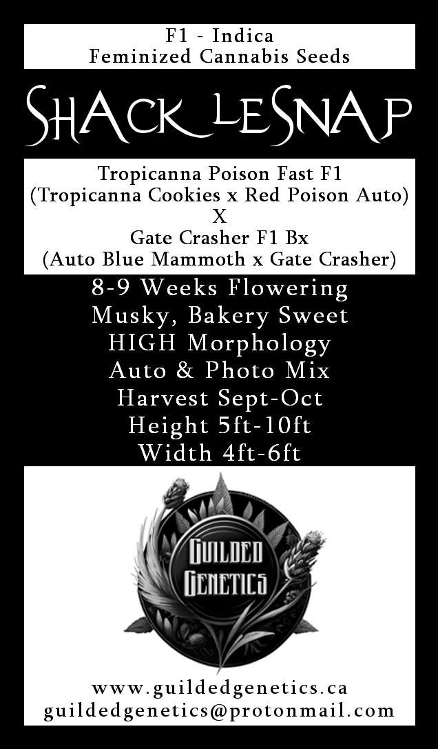 Shacklesnap F1 - Image 2