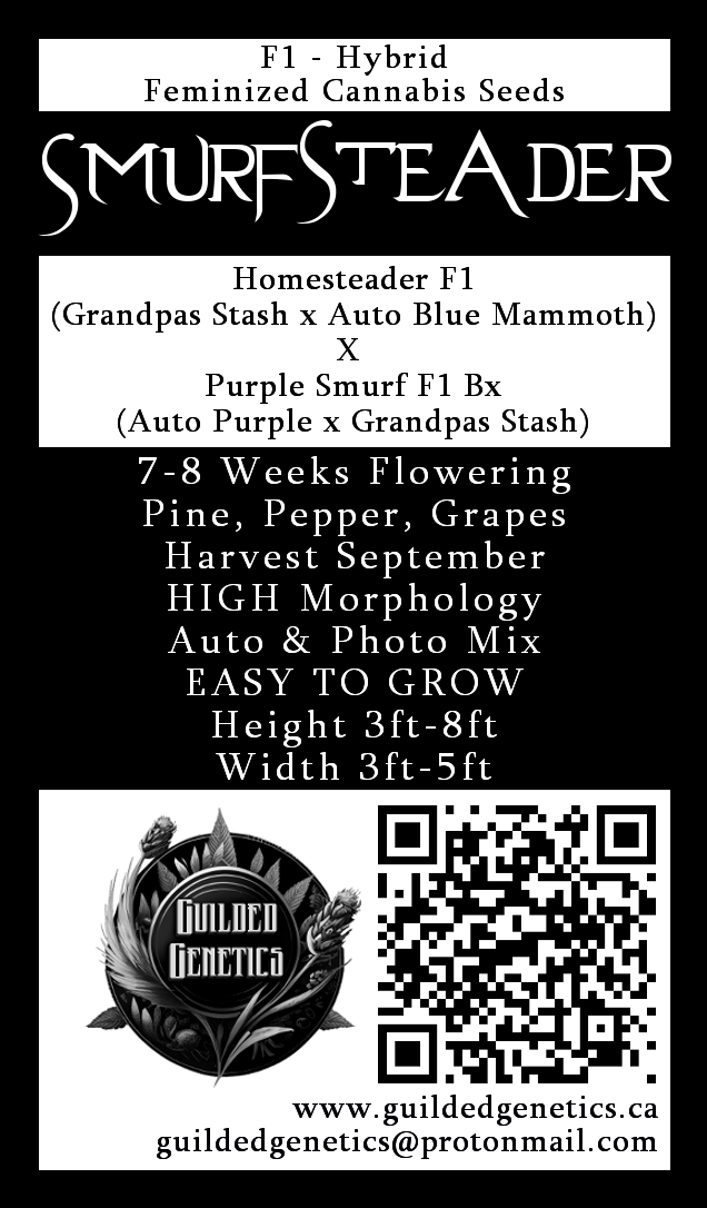 Smurfsteader F1 - Image 2