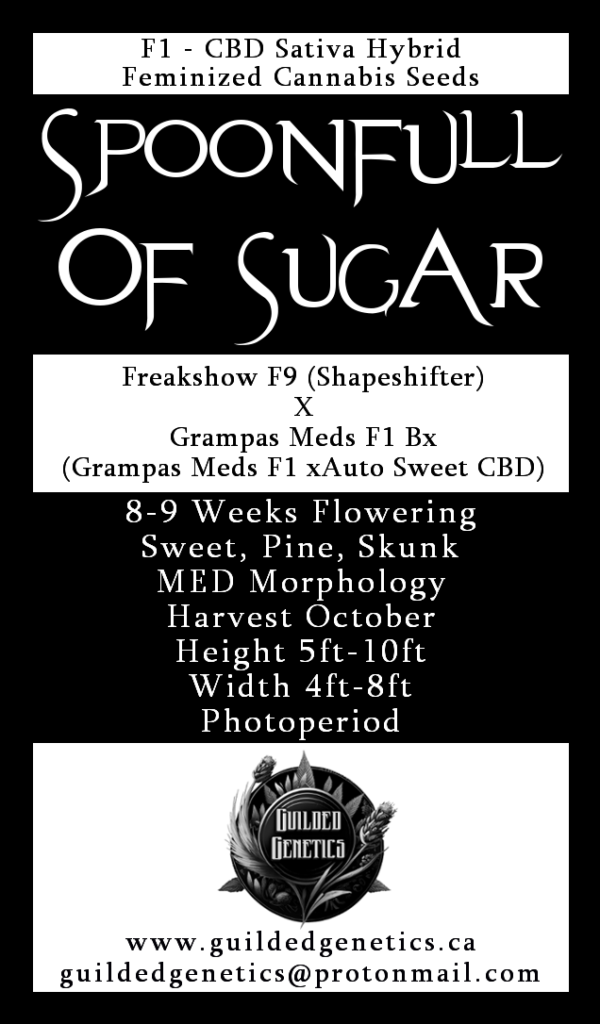 Spoonfull Of Sugar F1