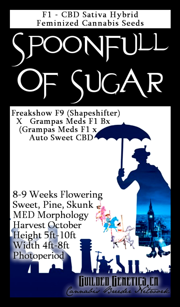 Spoonfull Of Sugar F1