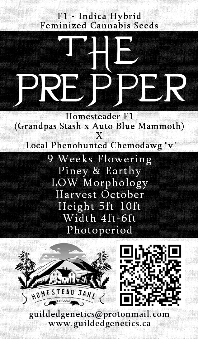 The Prepper F1 - Image 2