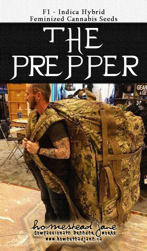The Prepper F1