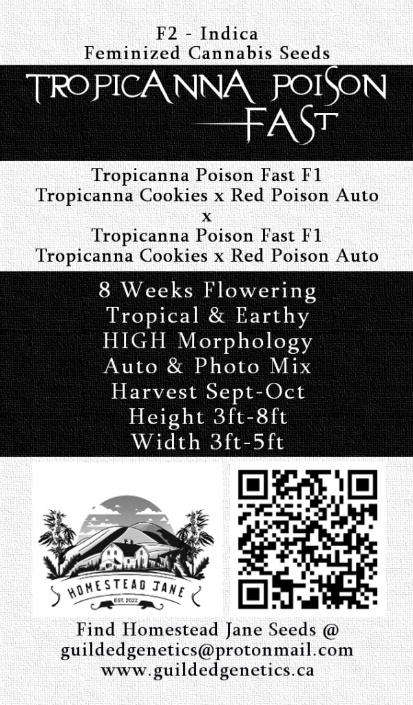 Tropicanna Poison F2