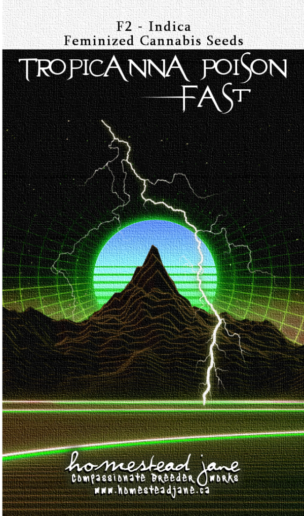 Tropicanna Poison F2