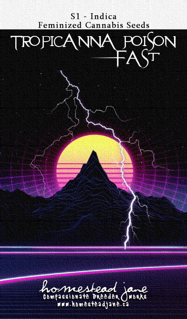 Tropicanna Poison S1