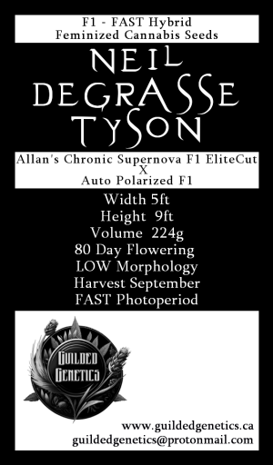 Neil deGrass Tyson F1