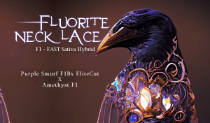 Fluorite Necklace F1