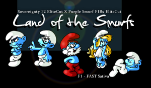 Land of the Smurfs F1