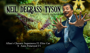 Neil deGrass Tyson F1