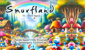 Smurfland F1