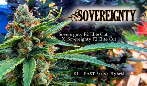 Sovereignty S1
