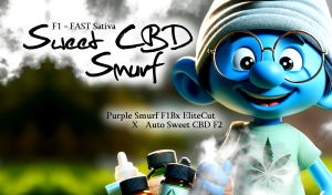 Sweet CBD Smurf F1