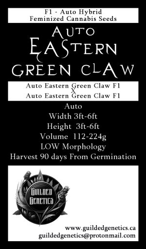 Auto Eastern Green Claw F1