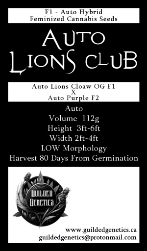 Auto Lions Club F1