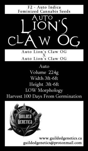 Auto Lions Claw OG F2