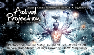 Astral Projection – F1