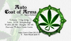 Auto Coat of Arms – F1