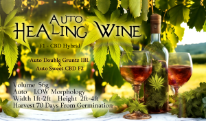Auto Healing Wine – F1