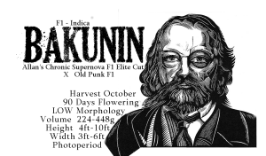 Bakunin – F1