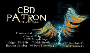 CBD Patron – F1