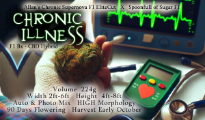 Chronic Illness – F1 Bx