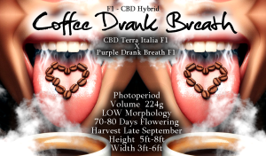 Coffee Drank Breath – F1