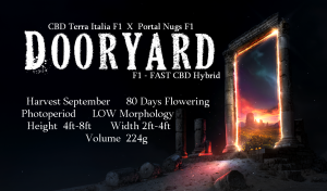 Dooryard – F1