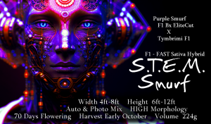 S.T.E.M. Smurf