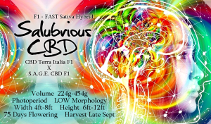 Salubrious CBD