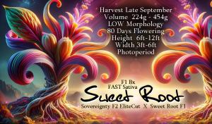 Sweet Root