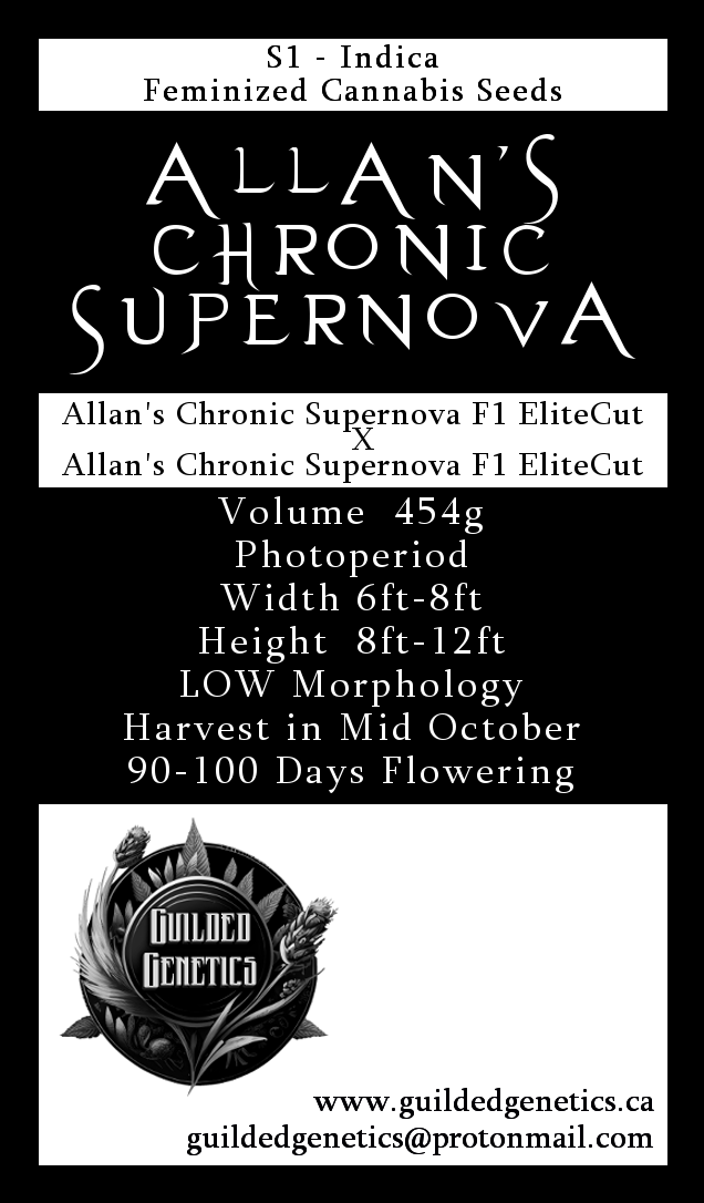 Allan's Chronic Supernova - Image 2