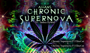 Allan’s Chronic Supernova