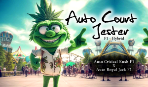 Auto Court Jester F1