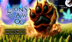 Auto Lions Claw OG F2